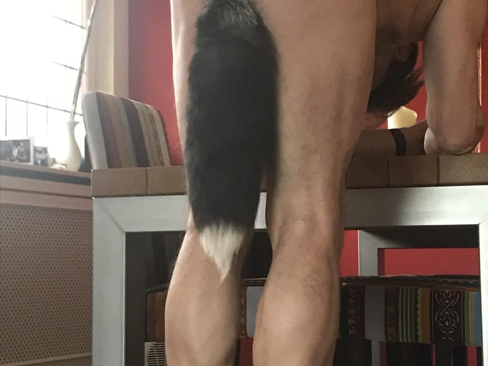 funonly100 Offline XXX-Chat