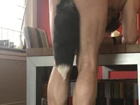 Модель funonly100