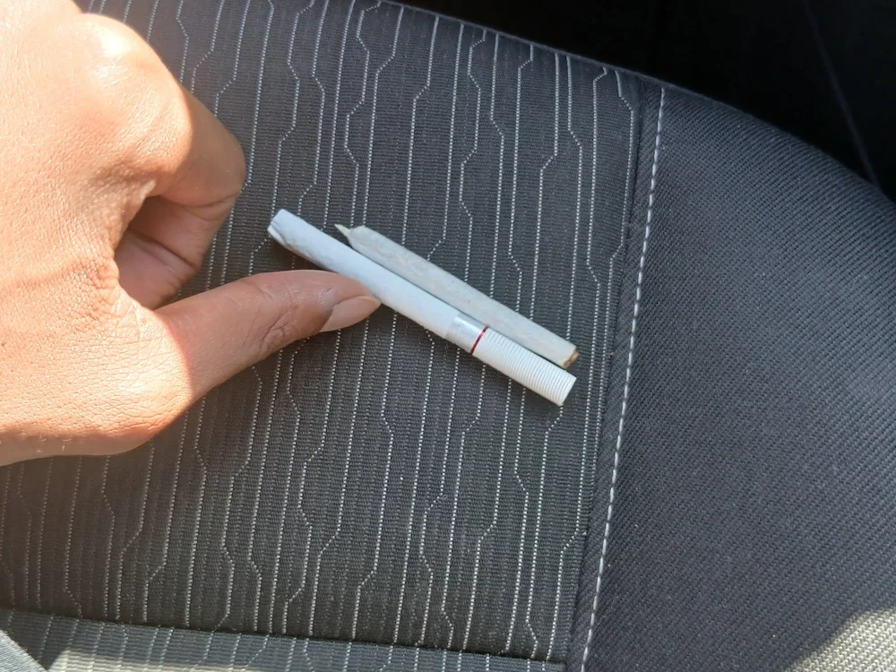 ksasa987: офлайн-секс-чат