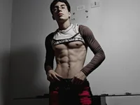 Модель divinityros