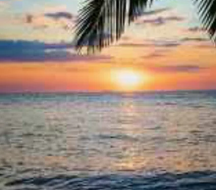 bigdbb13- Offline XXX Chat