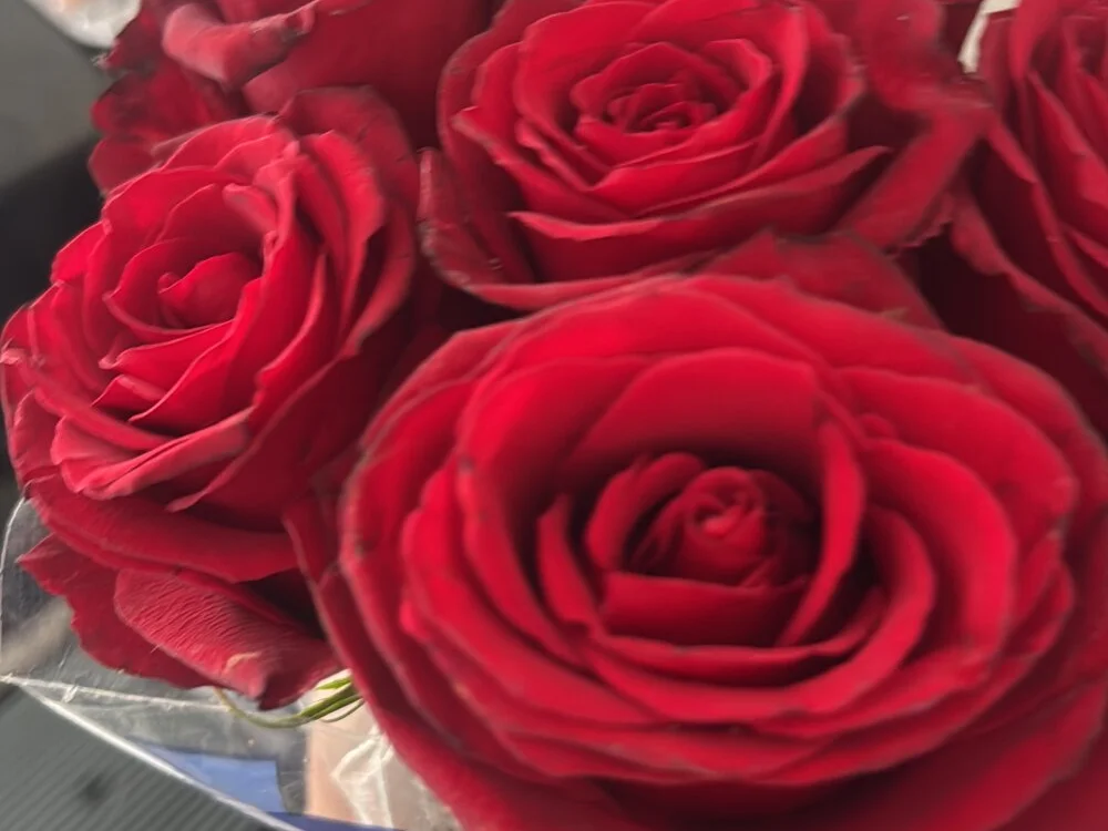 izzis777: συνομιλία ΧΧΧ εκτός σύνδεσης