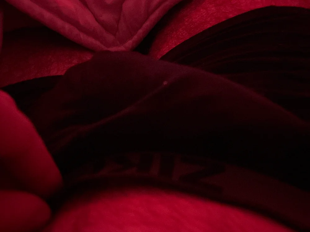 nJameyPPereH offline XXX-chatje