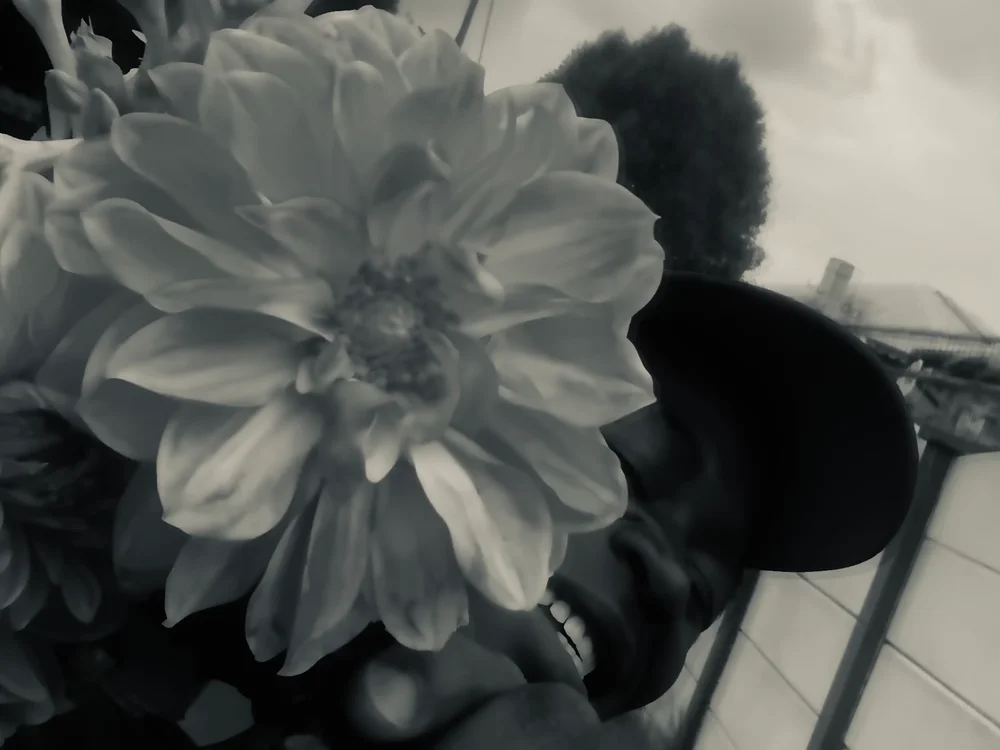 DaddyDcks 離線 XXX 聊天