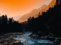 for_women_dick's webcam live show