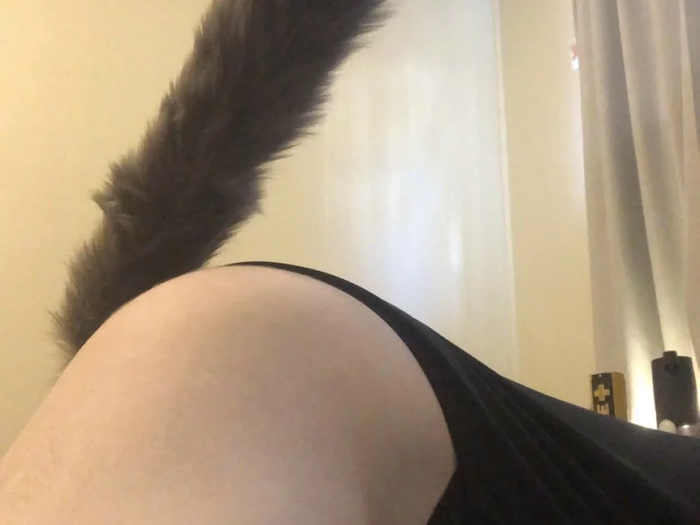 Tinywaifu offline chatrum