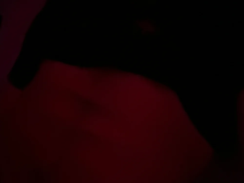 Herbert0000 offline XXX-chat