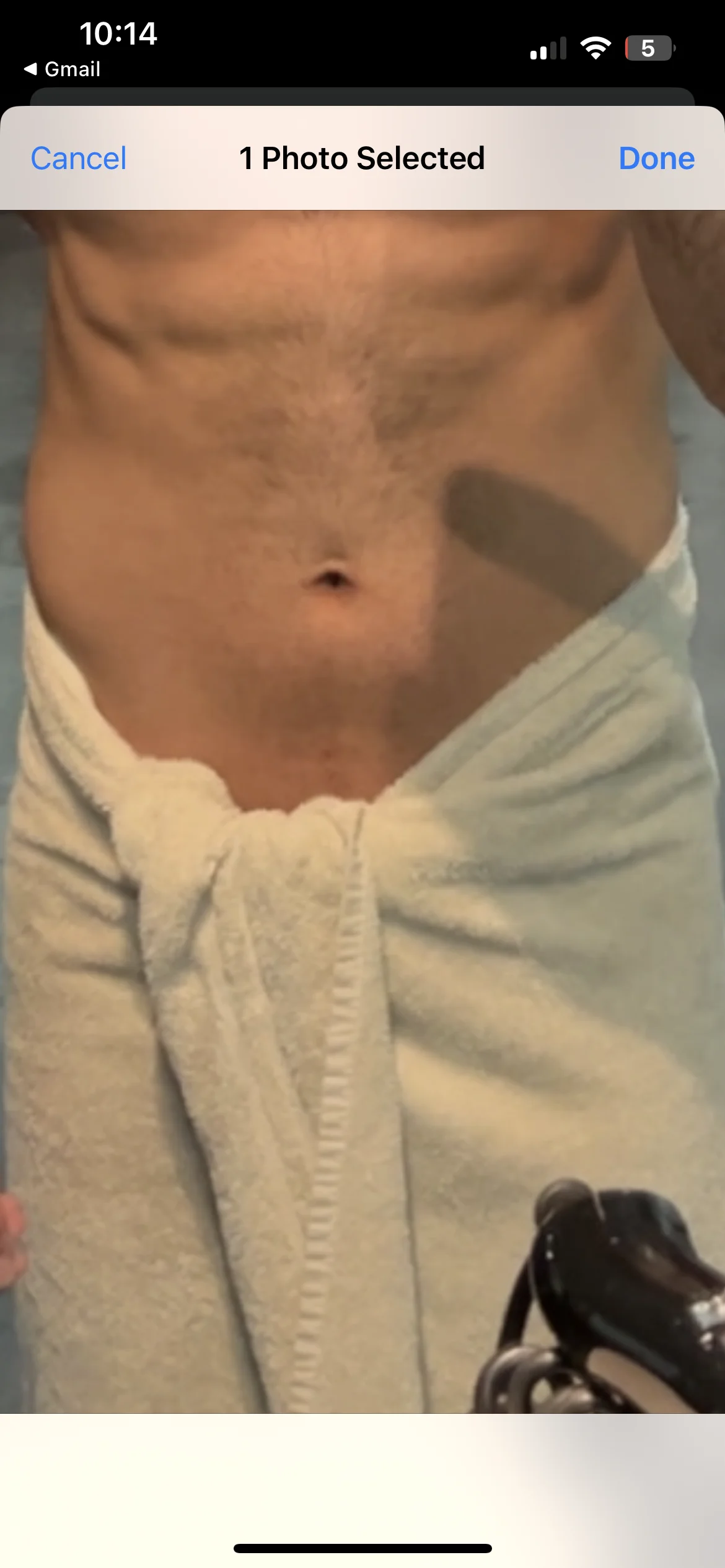 shavedcockkyoung
