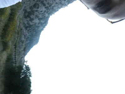 TreatedAntidote profile