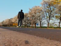 Модель Leocesar37