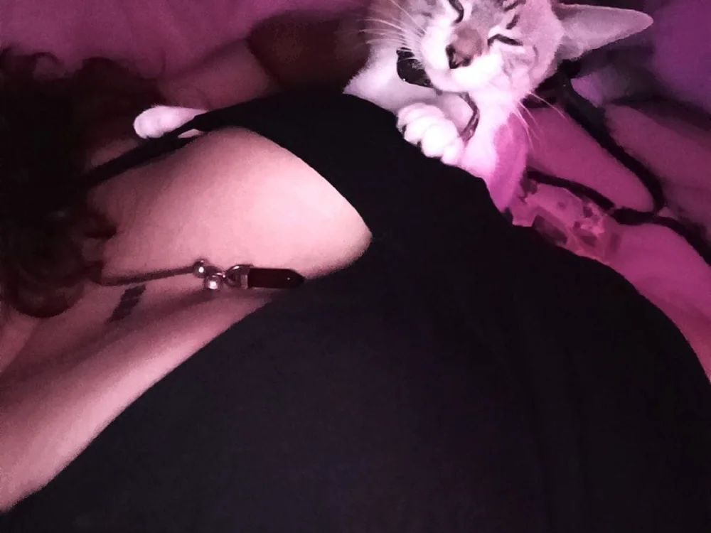 ห้องแชทออฟไลน์ของ bbyKiw