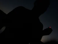 tinydick96626's Offline XXX Chat
