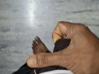 Madan51