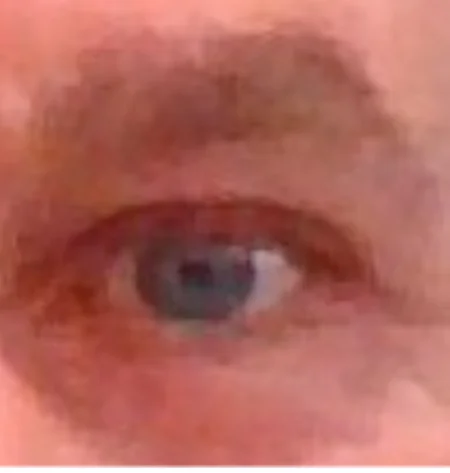 Sokrates3 Adlı Modelin Çevrimdışı XXX Sohbeti