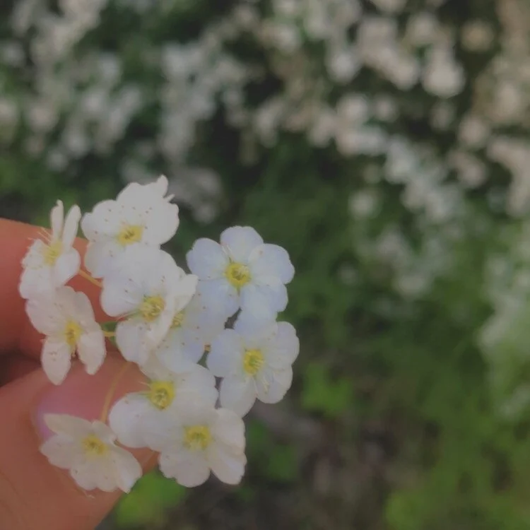 Chat +18 off-line de sexlove25