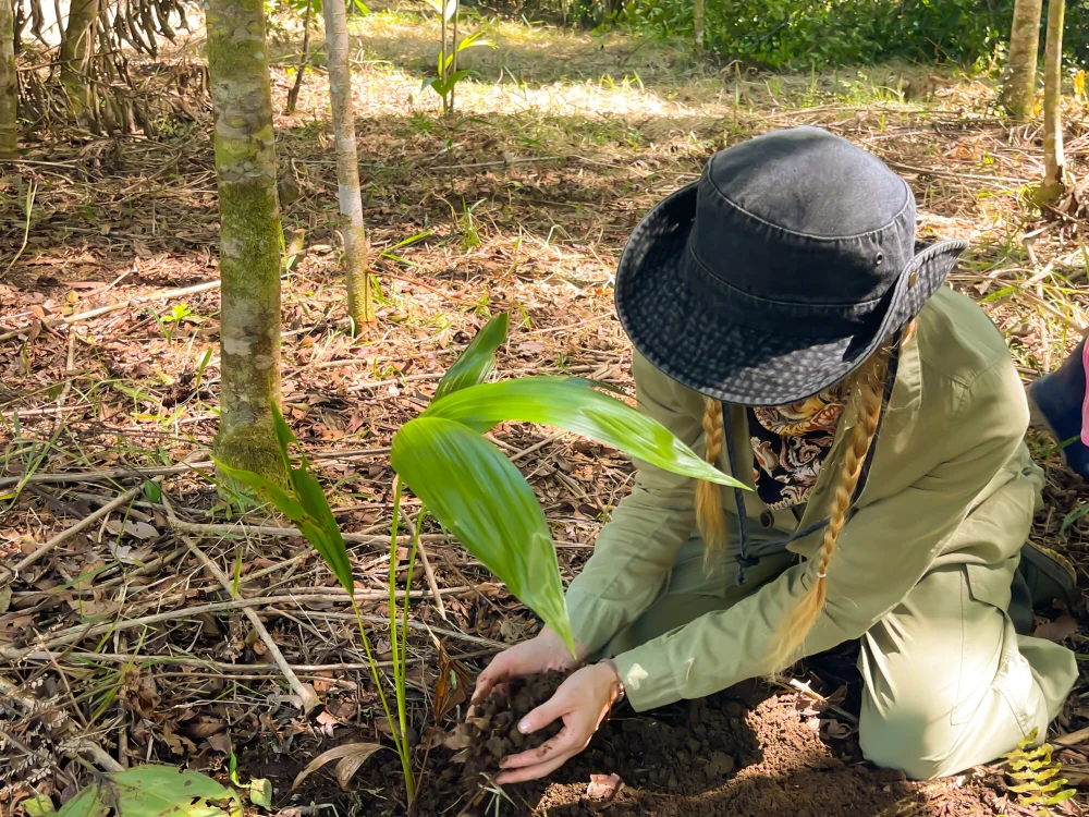 دردشة helensun_oficial الجنسية دون اتصال