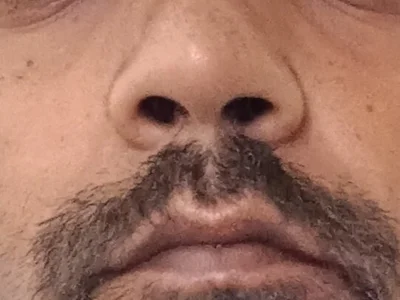 ShowedWringer profile