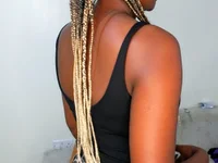 Coco_palm