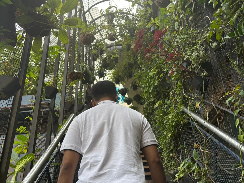 omeega_ 離線 XXX 聊天