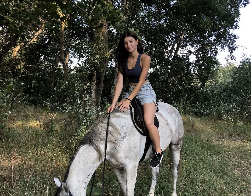 JustinForce 离线XXX聊天