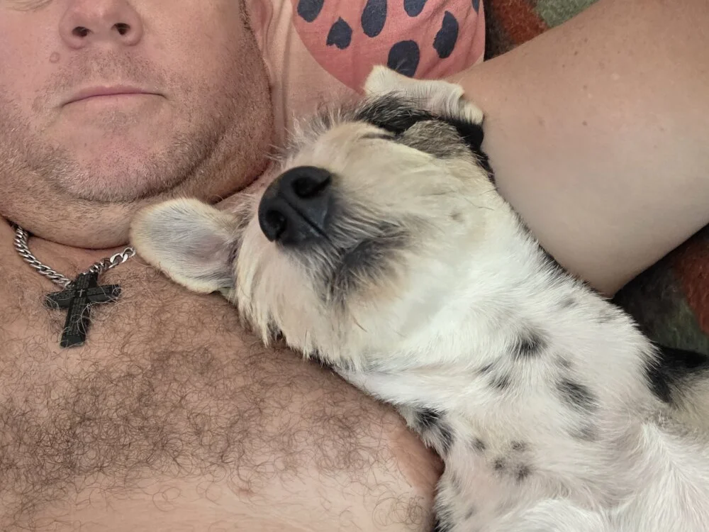 Pielkop72 – Offline XXX chat