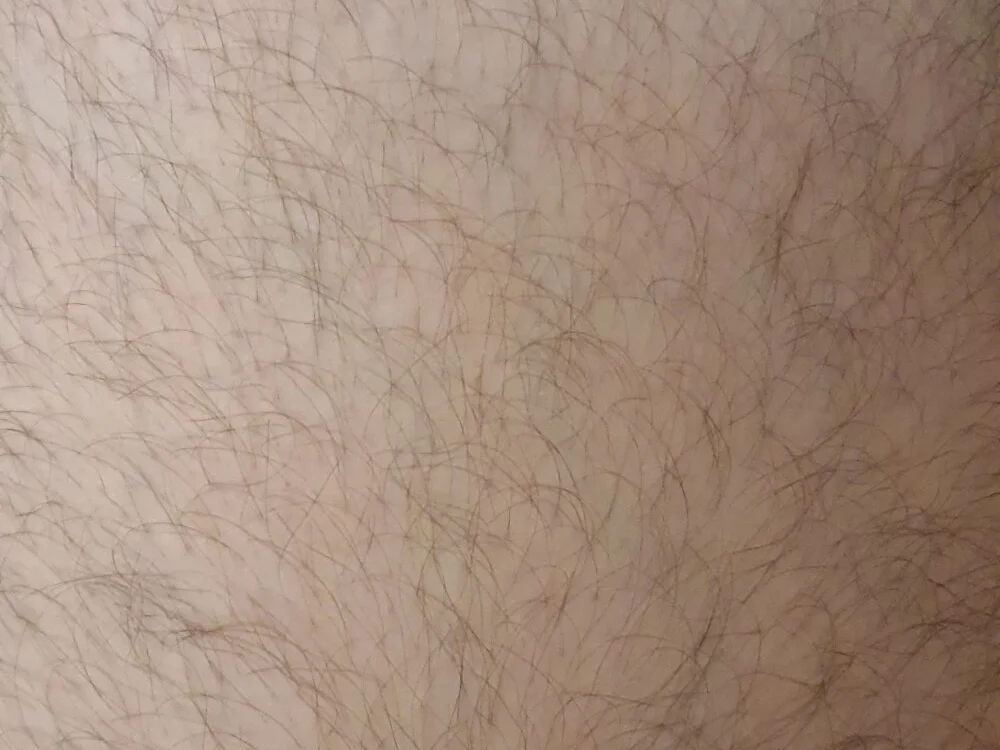 bavarian_guy Offline XXX-Chat