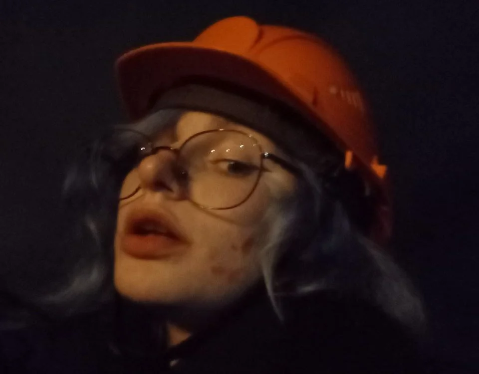 Aris_foxx offline chatrum