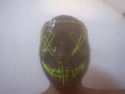 Pau_Peludo_Barreiras-BA