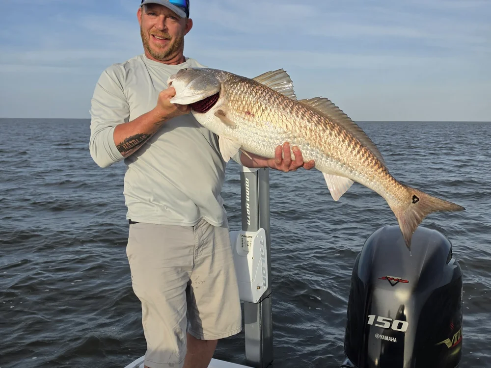 kurkmanns: συνομιλία ΧΧΧ εκτός σύνδεσης