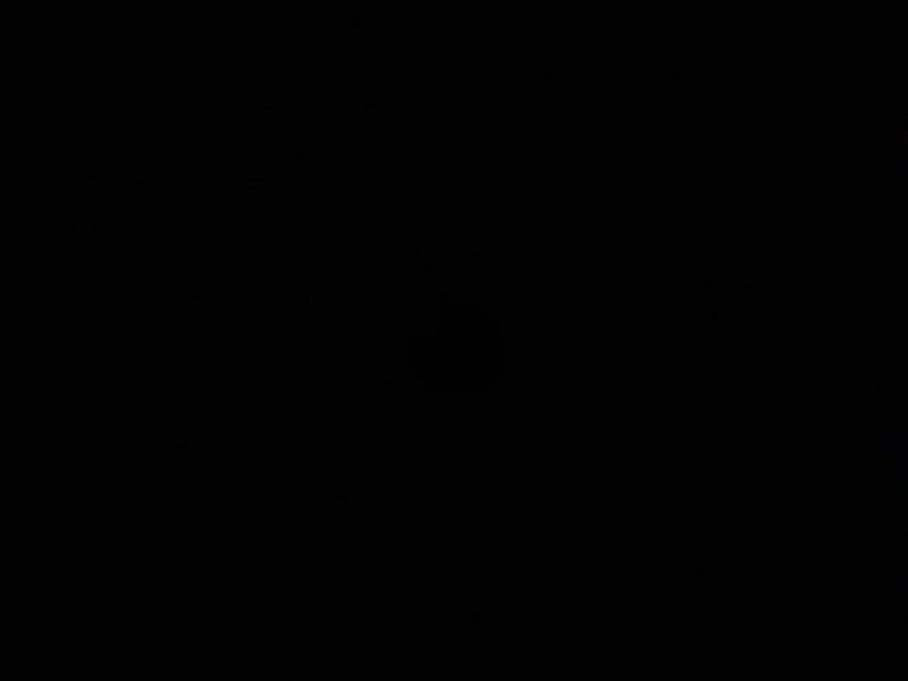 cover photo of Iggy990