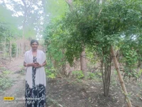 rituayush