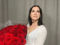 Модель FireLily332