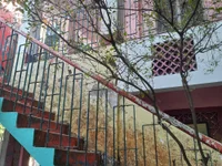 Модель Butterflytanvir69