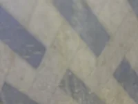 nani9550's webcam live show