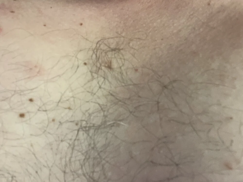 DanimalWishes' Offline XXX Chat