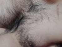 Модель browndick266