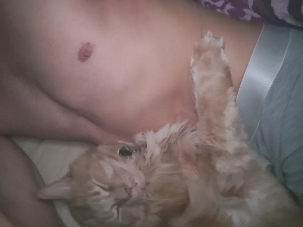 maikll989 – Offline XXX chat