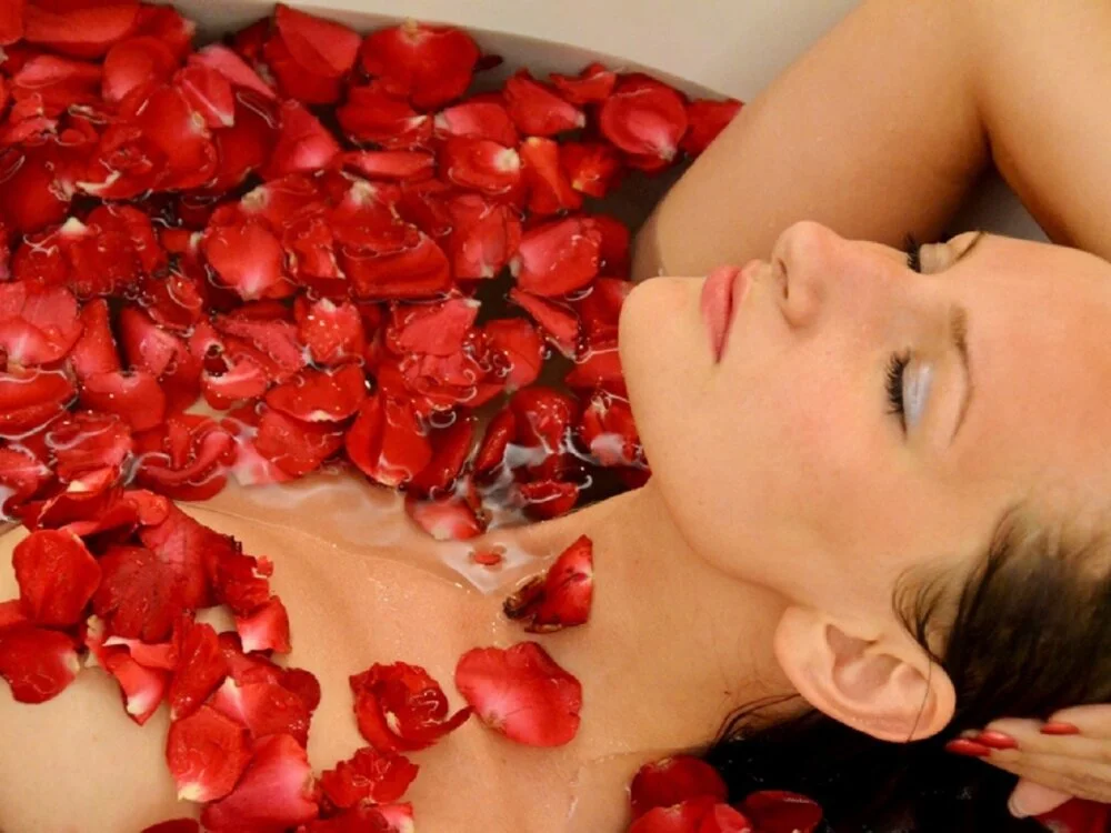 Offline XXX chat modela sunshine__lady