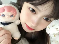 Модель Wily-07