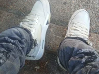 Dropdingo's webcam live show