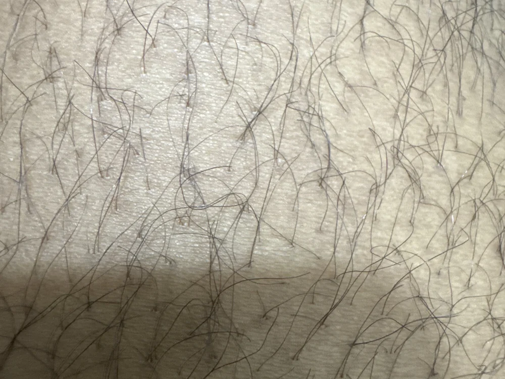 tender_cum offline chatrum