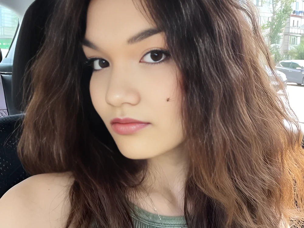 VeronaGomer offline chatrum