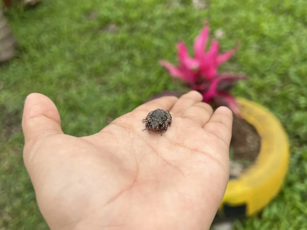 Czat XXX offline – narummi