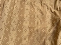 The-yourl's webcam live show