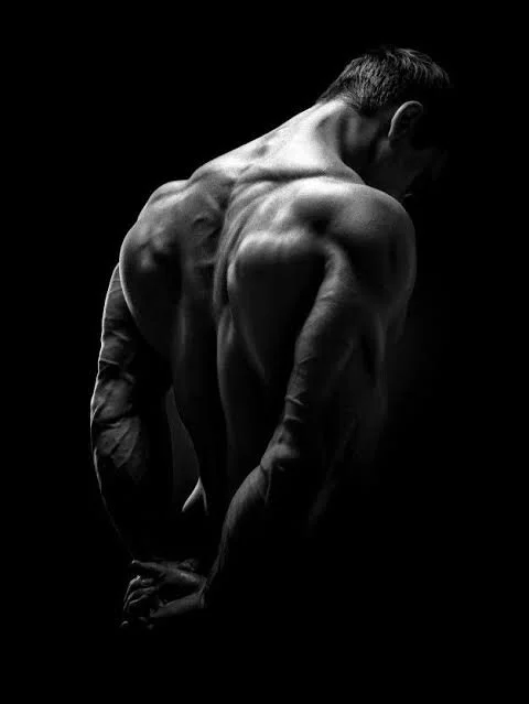menhardd Chat XXX offline