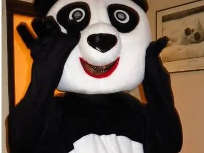 CrackedPanda5