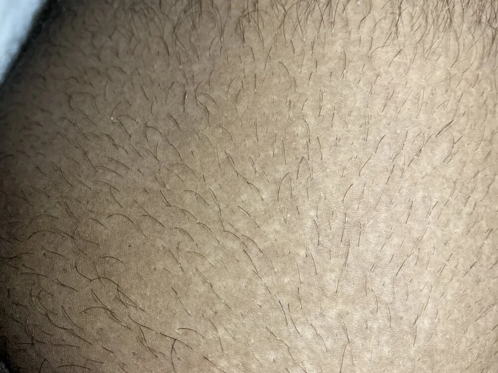 delasan 離線 XXX 聊天