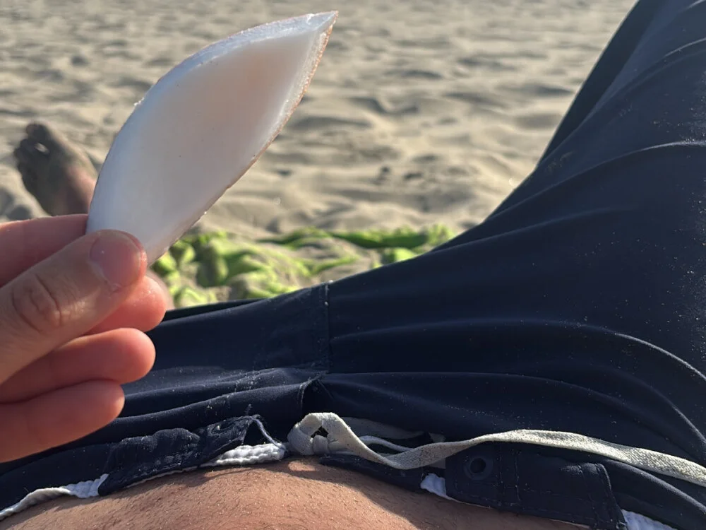 Torissimo92 Chat XXX offline