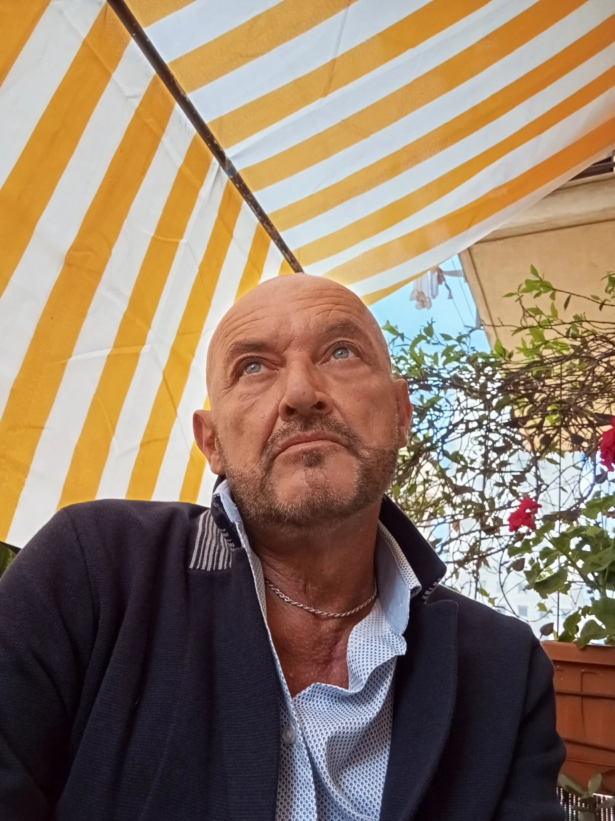 schiavogoa cover photo