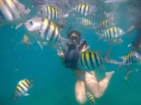 Harpper_sexy's webcam live show